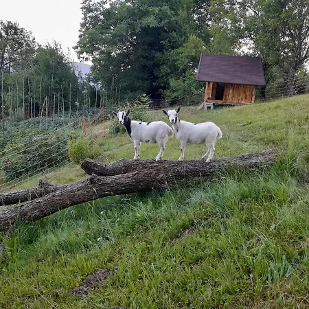 Apartmaji Gorenc