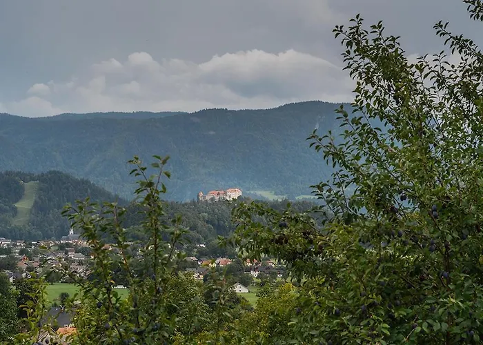 Appartamento Apartmaji Gorenc *