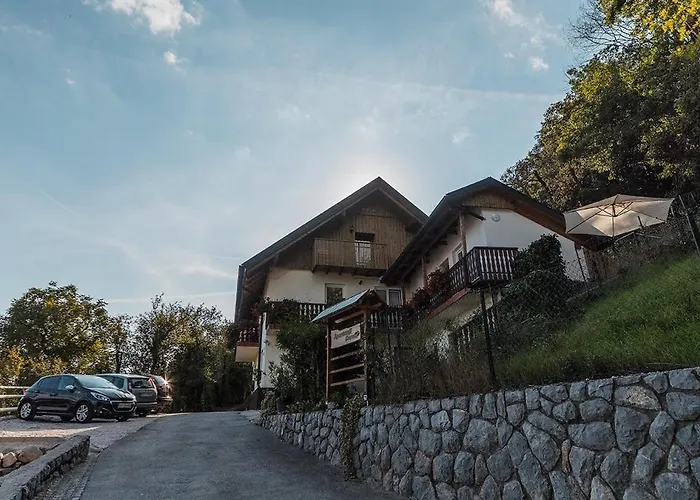 Apartmaji Gorenc * 布莱德